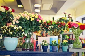 Florist Business for Sale